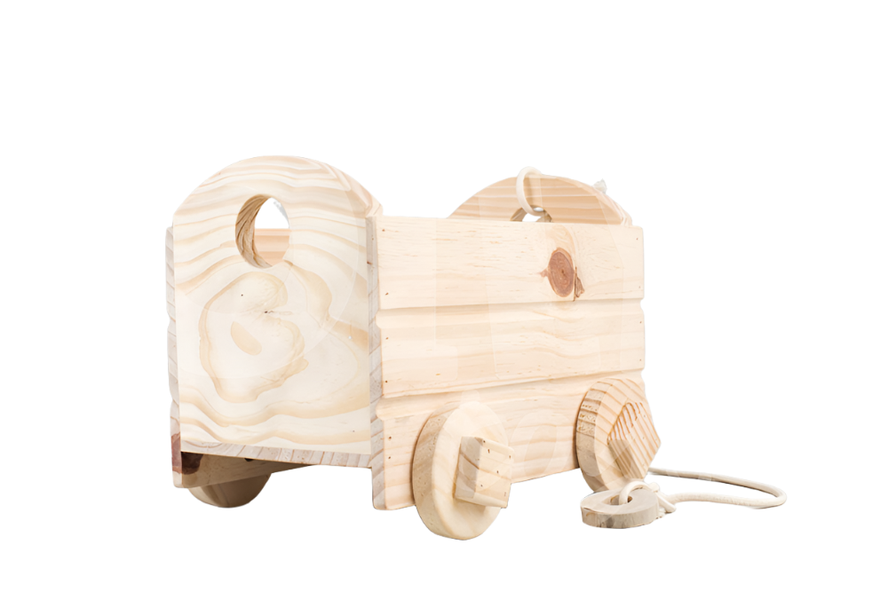 Carriola P - Olly Toys