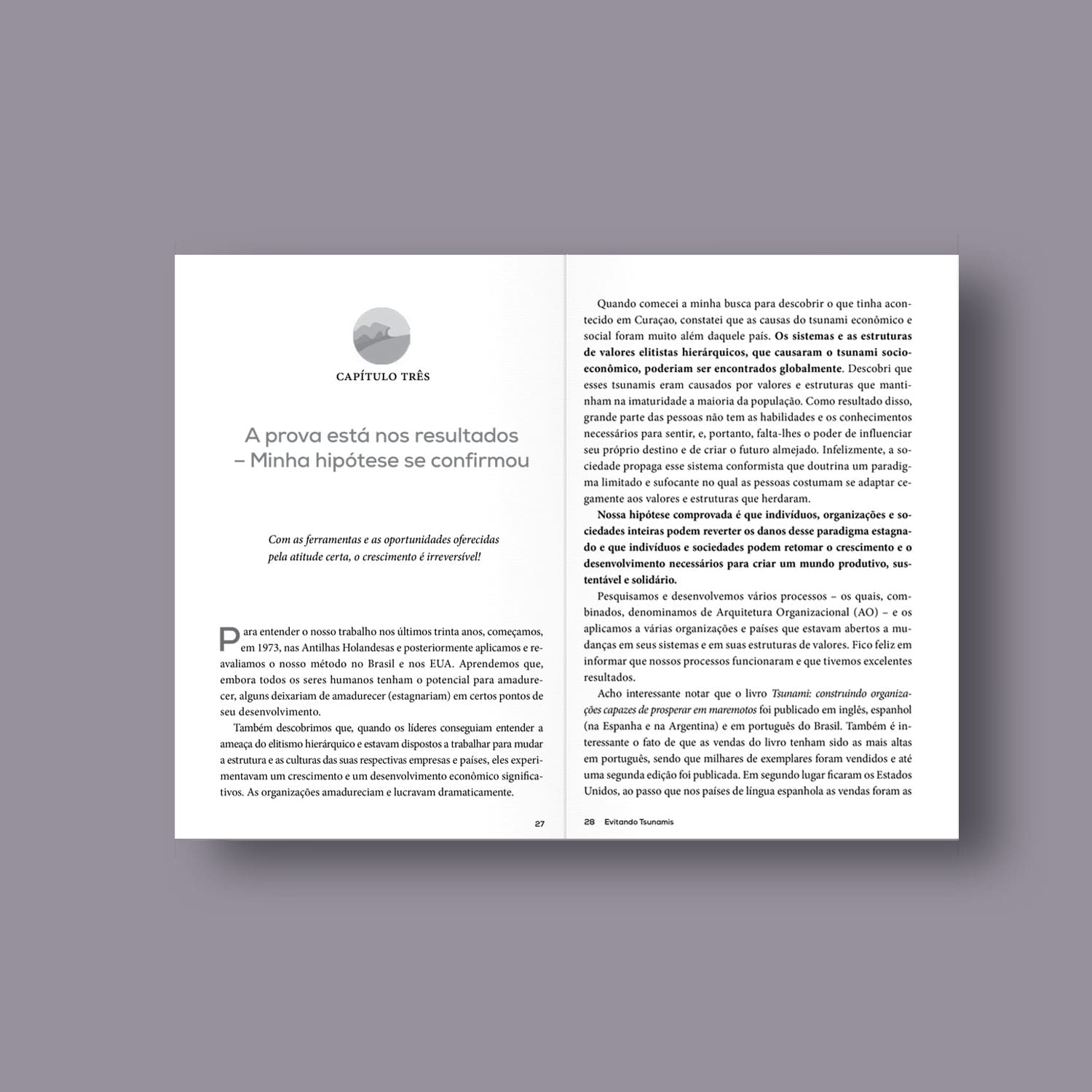 Evitando Tsunamis – Descubra e desenvolva os valores que formam líderes e organizações maduras