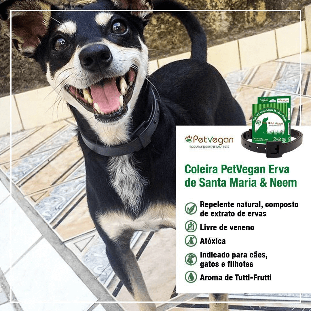 foto com informações sobre a coleira que informa "repelente natural, composto de extrato de ervas;Livre de veneno;atóxica;indicada para cães, gatos e filhotes;aroma de tutti frutti