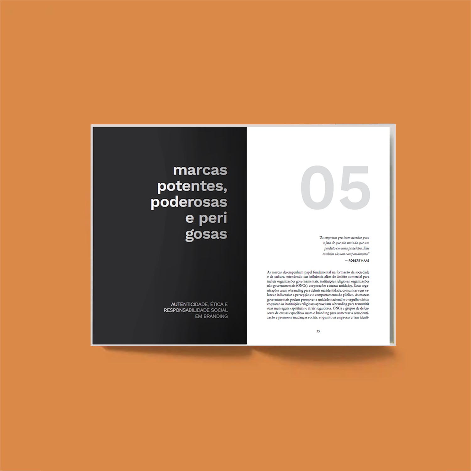 Marcas com alma – Porque o futuro dos negócios é humano - Maria Brasil