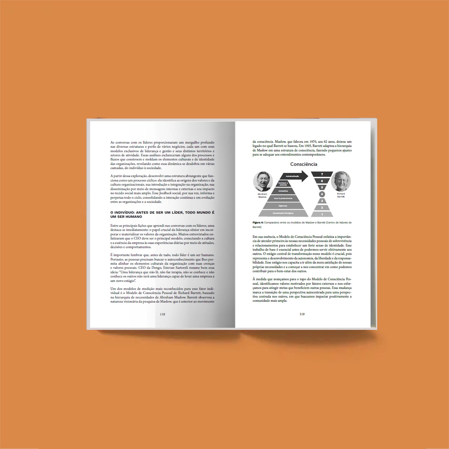 Marcas com alma – Porque o futuro dos negócios é humano - Maria Brasil