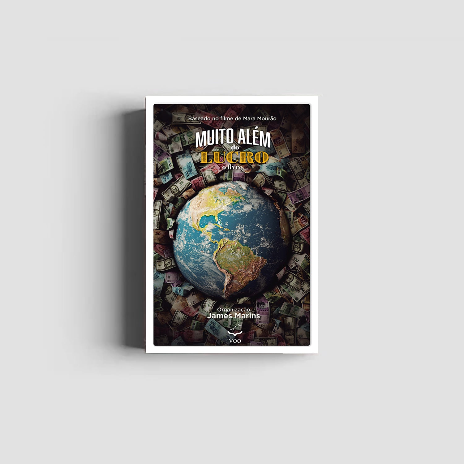 Muito Além do Lucro – o livro James Marins
