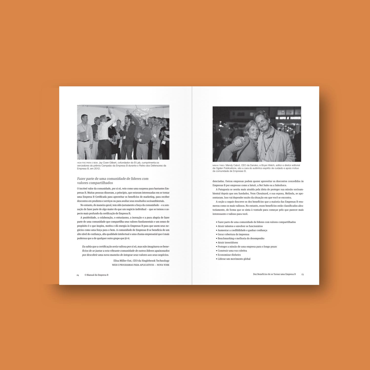 O Manual da Empresa B - Como usar os negócios com força para o bem - Ryan Honeyman