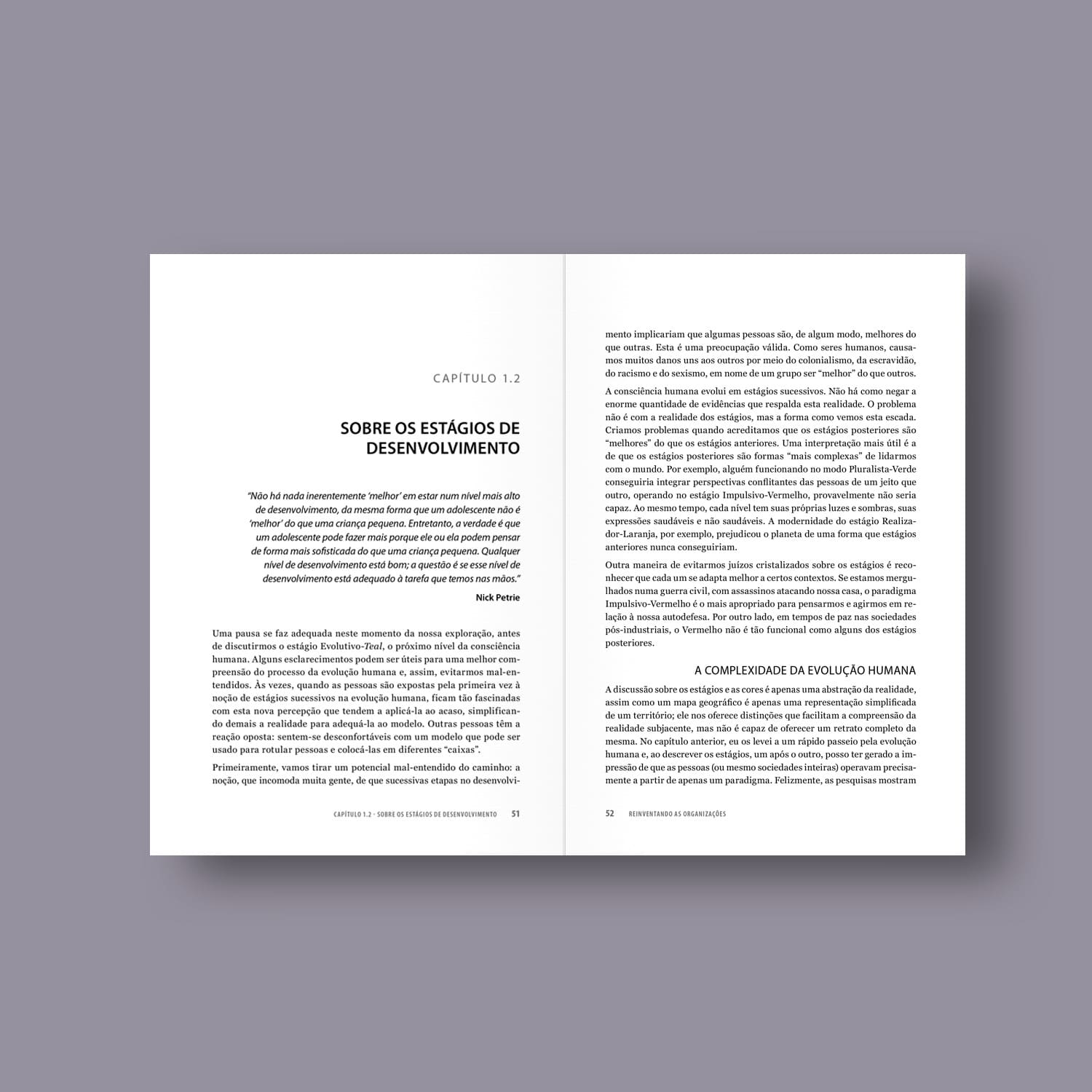 Reinventando as Organizações - Um guia para criar organizações inspiradas no próximo estágio da consciência humana