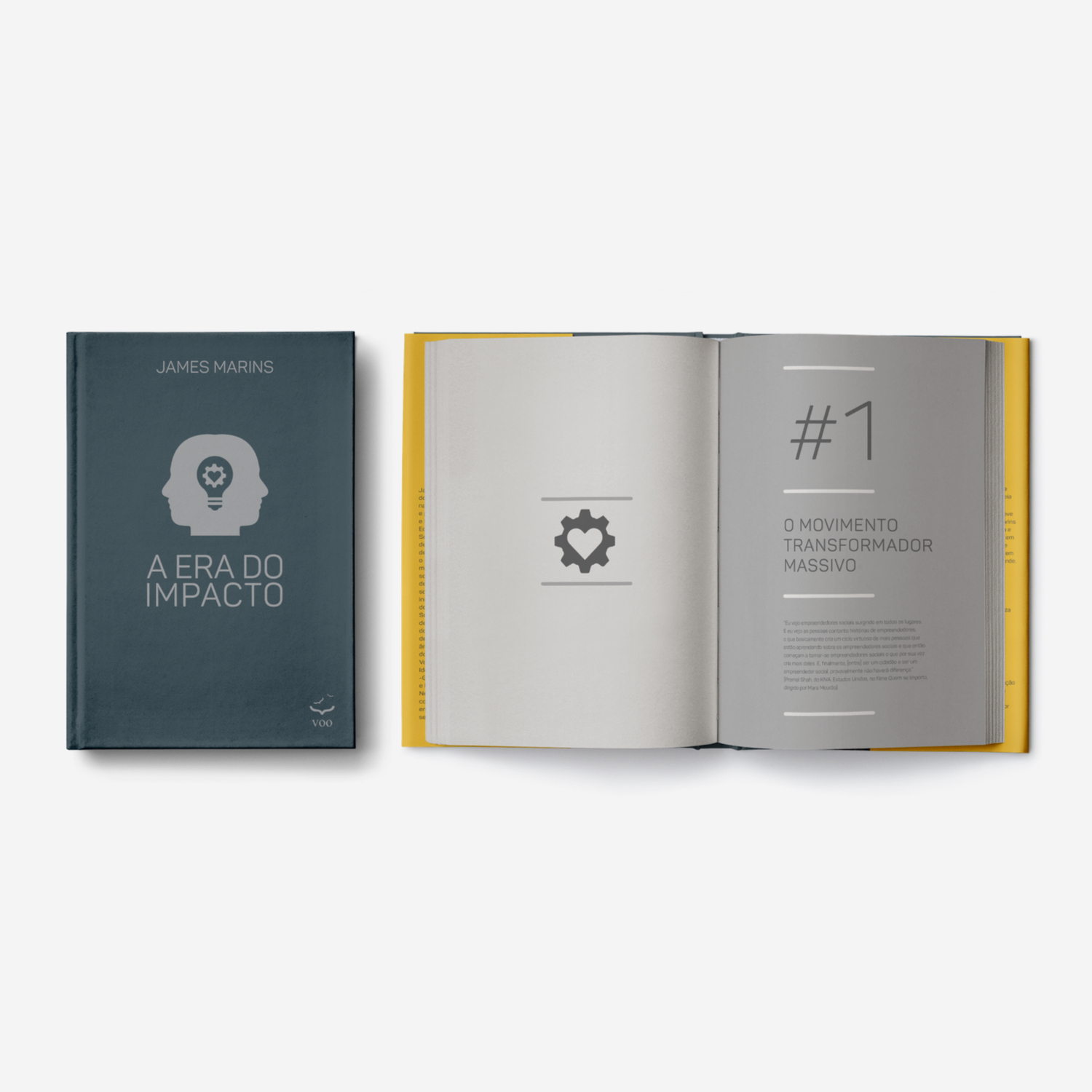 A Era do Impacto - James Marins Ed. Voo