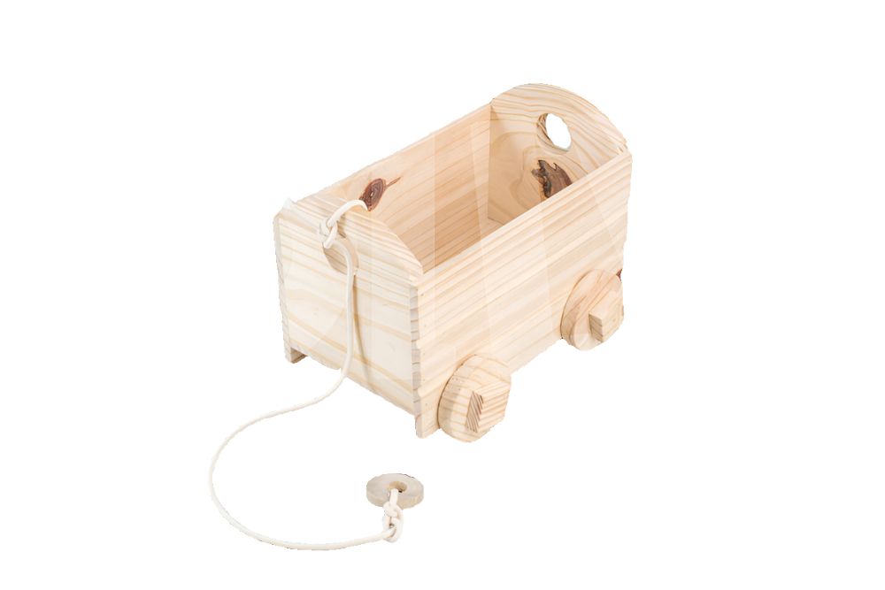 Carriola P - Olly Toys