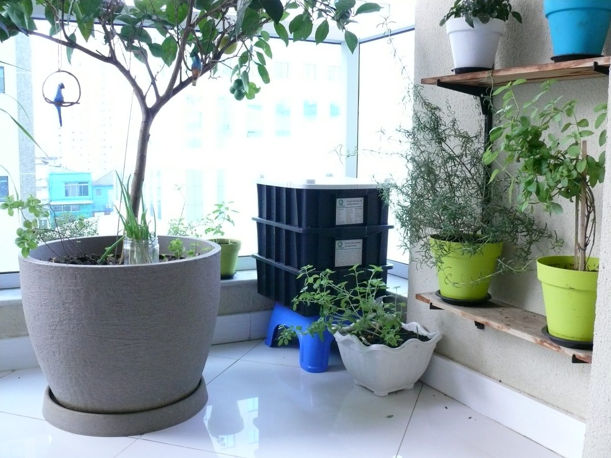 Composteira Doméstica P Casológica