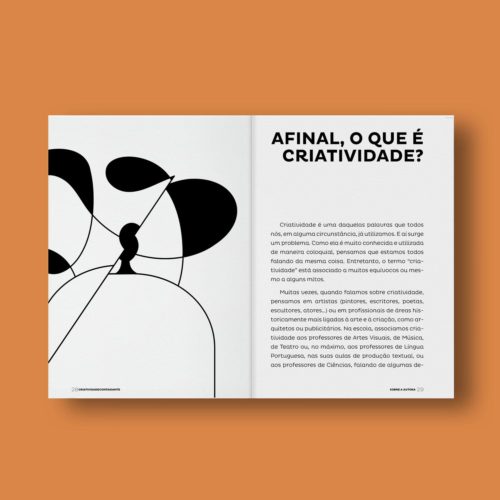 Criatividade Contagiante – Como a escola pode nutrir o pensamento criativo - Luciane Bonamigo Valls Ed. Voo