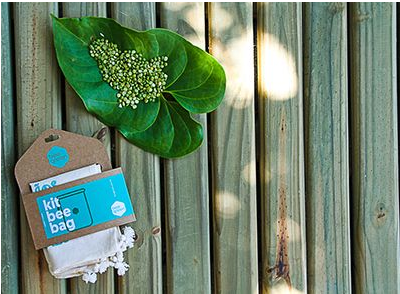 Kit de Sacos Ecológicos Reutilizáveis Pequenos para Granel Beegreen