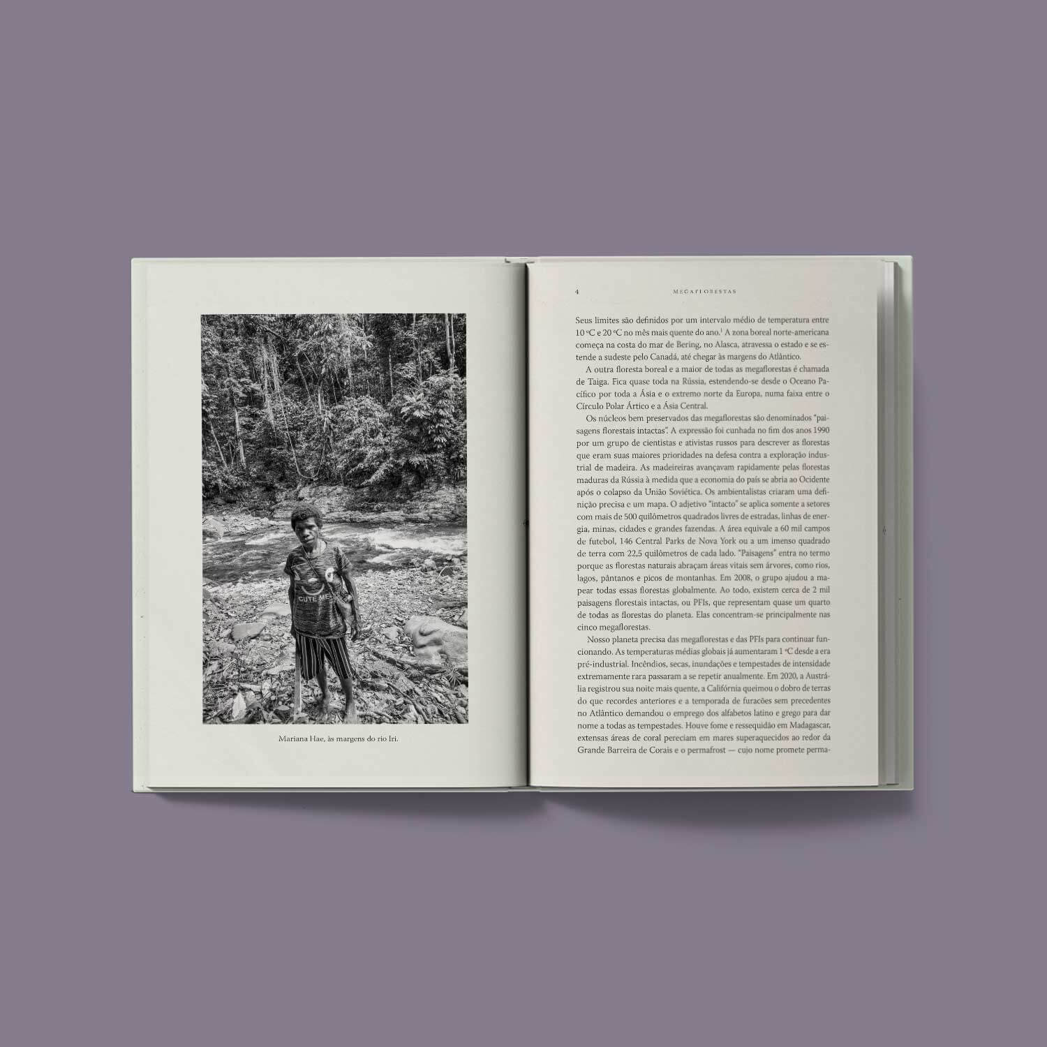 Megaflorestas – Preservar o que temos para salvar o planeta - John W. Reid, Thomas E. Lovejoy