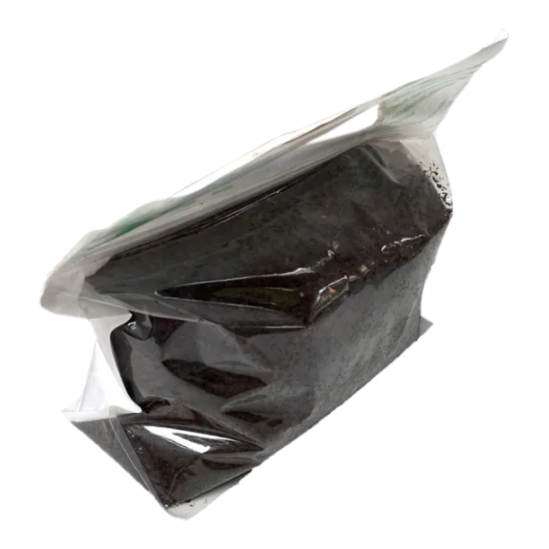 Pacote com Matrizes de Minhocas Vermelhas Californianas Morada da Floresta