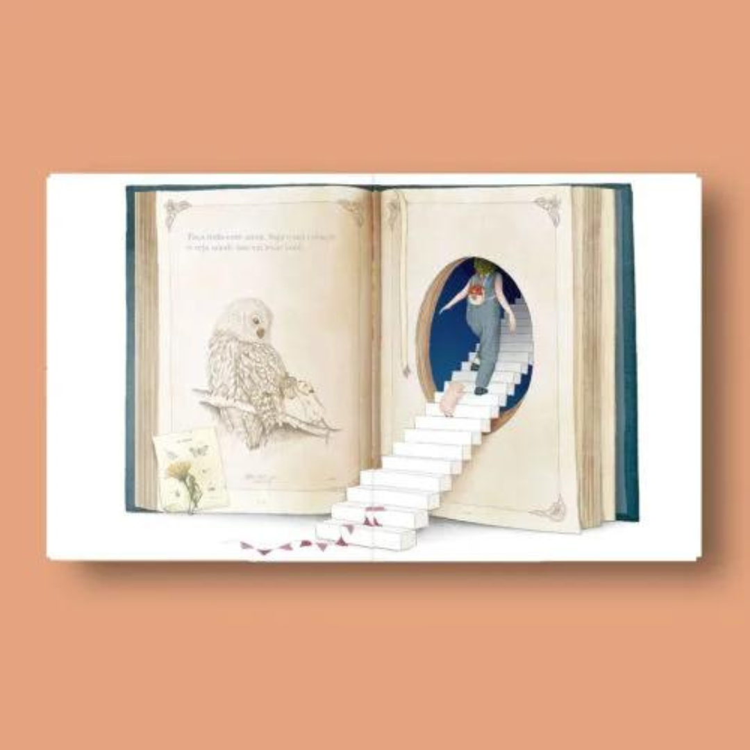 Talvez - Gabriella Barouch, Kobi Yamada Ed. Voo