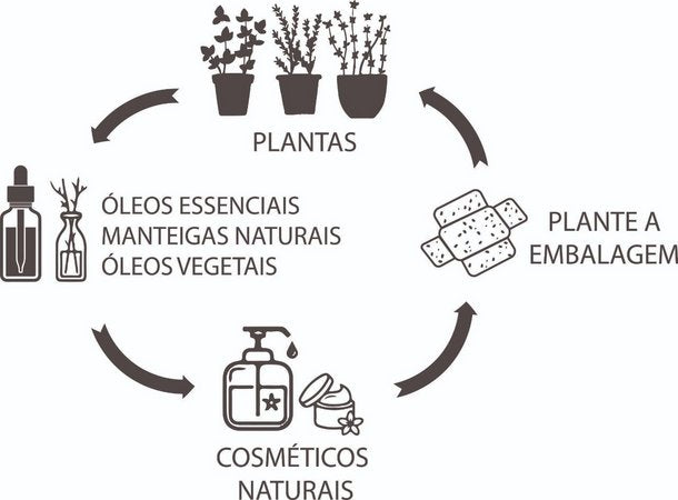 Condicionador Sólido 70g - Cupuaçu e Alecrim Bhava
