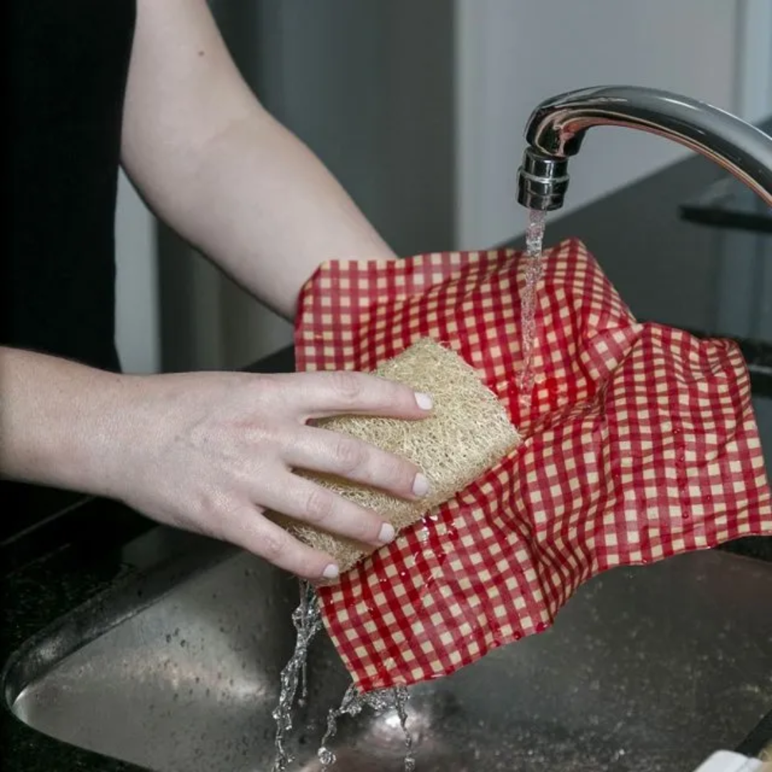 Kit com 3 EcoWraps | Pano Encerado Vegano Agora Sou Eco