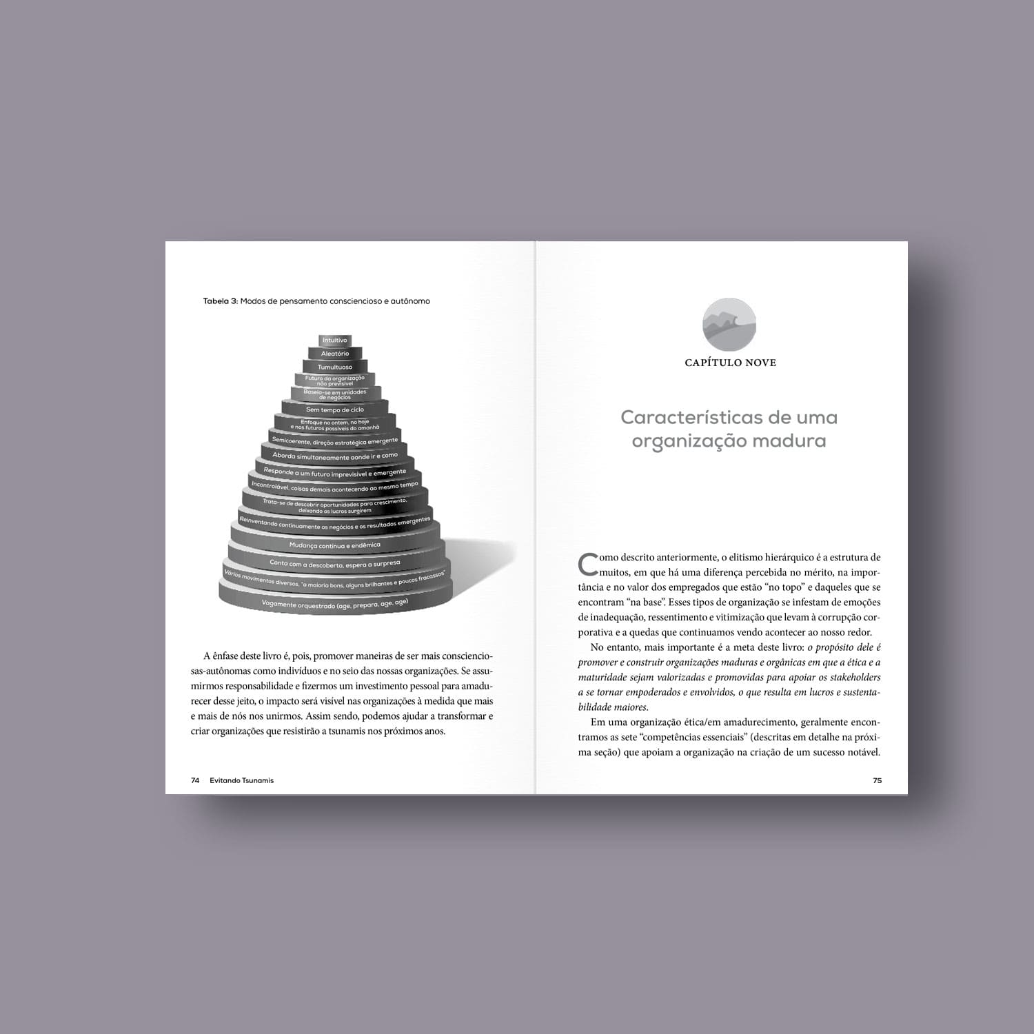 Evitando Tsunamis – Descubra e desenvolva os valores que formam líderes e organizações maduras