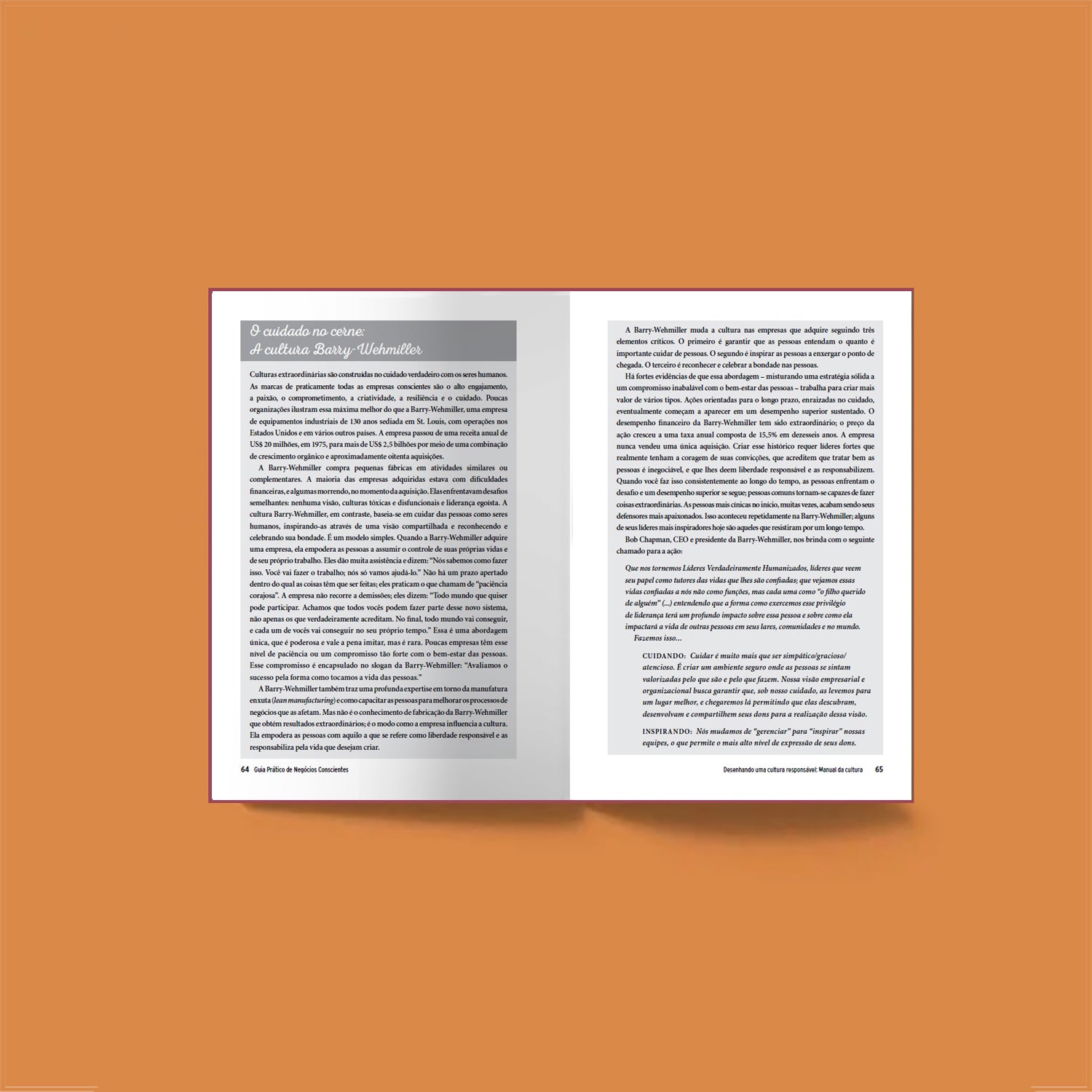 Guia Prático de Negócios Conscientes – Volume 3: Cultura Responsável