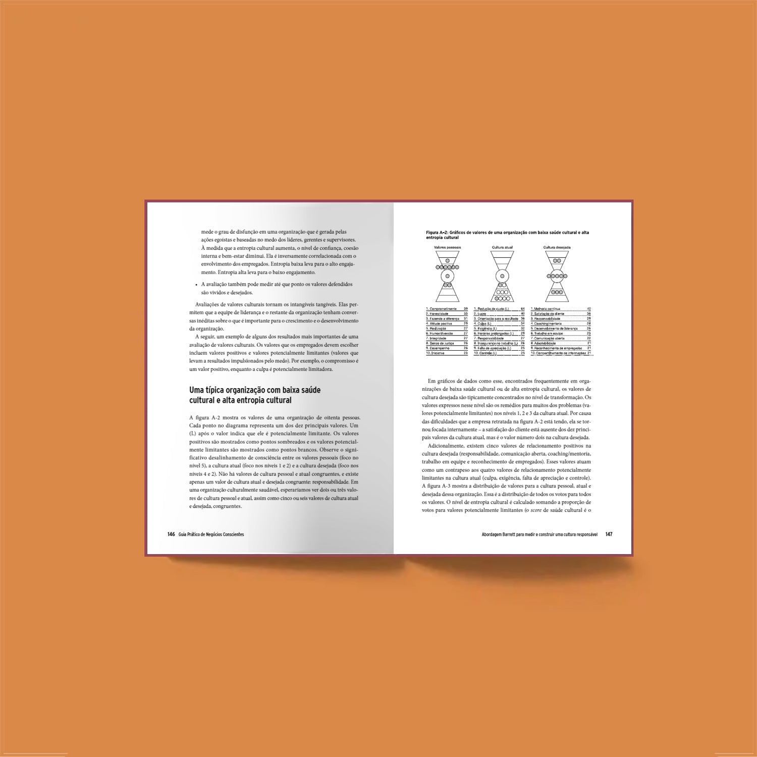 Guia Prático de Negócios Conscientes – Volume 3: Cultura Responsável