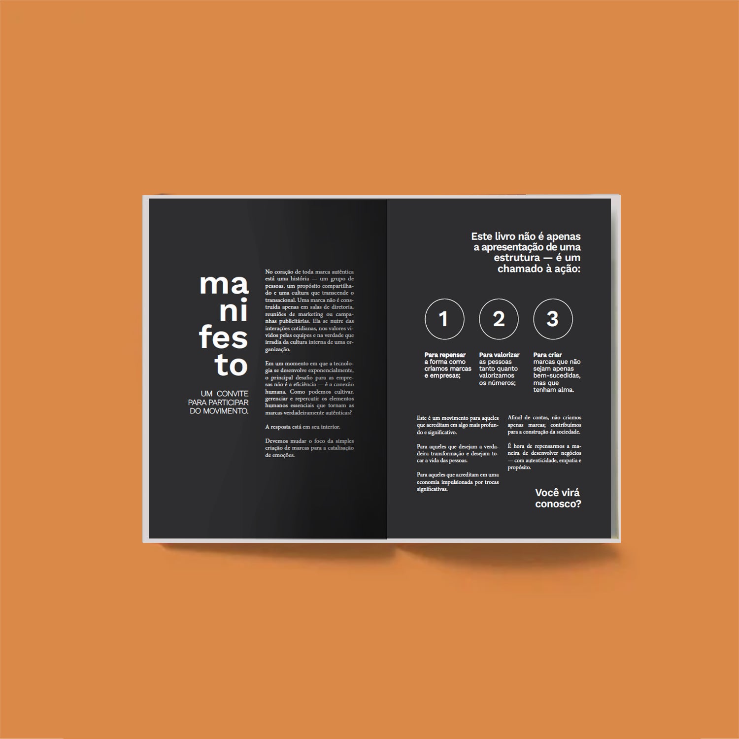 Marcas com alma – Porque o futuro dos negócios é humano - Maria Brasil