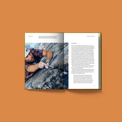 Negócio Incomum - Vincent Stanley, Yvon Chouinard