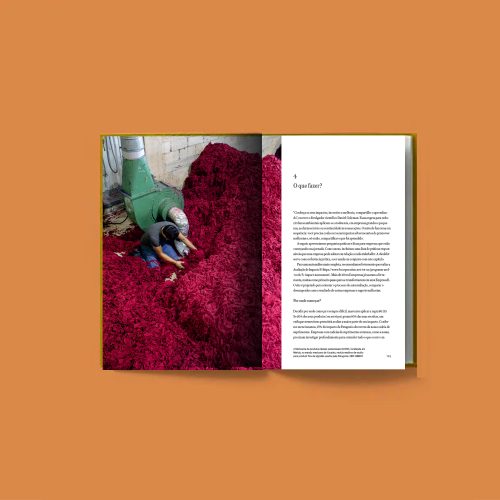 Negócio Incomum - Vincent Stanley, Yvon Chouinard