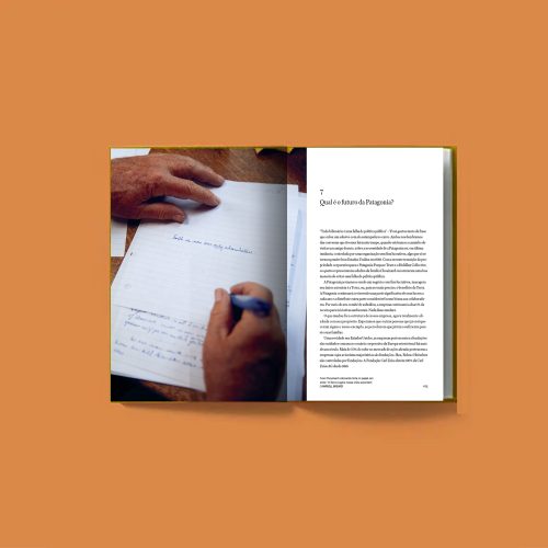 Negócio Incomum - Vincent Stanley, Yvon Chouinard