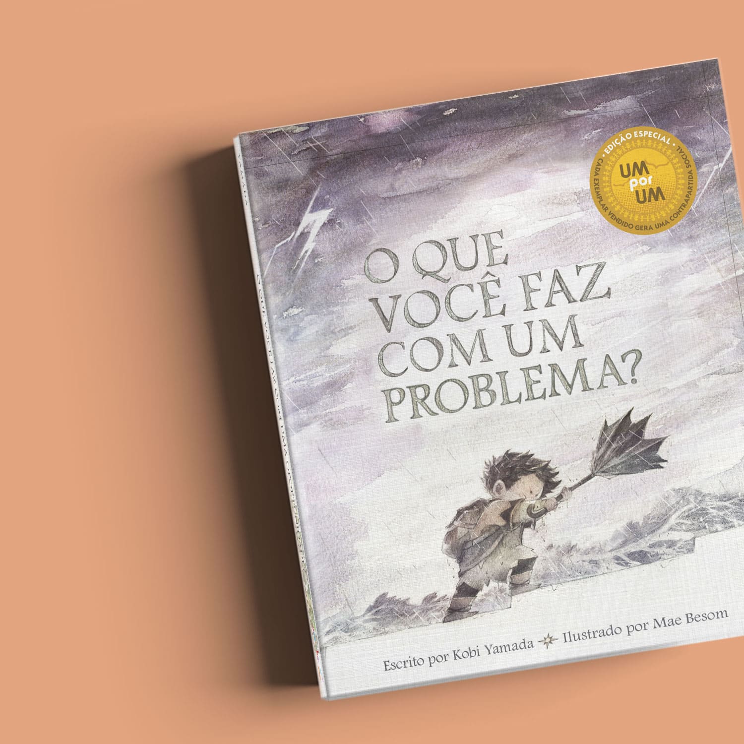O que você faz com um problema? - Kobi Yamada, Mae Besom