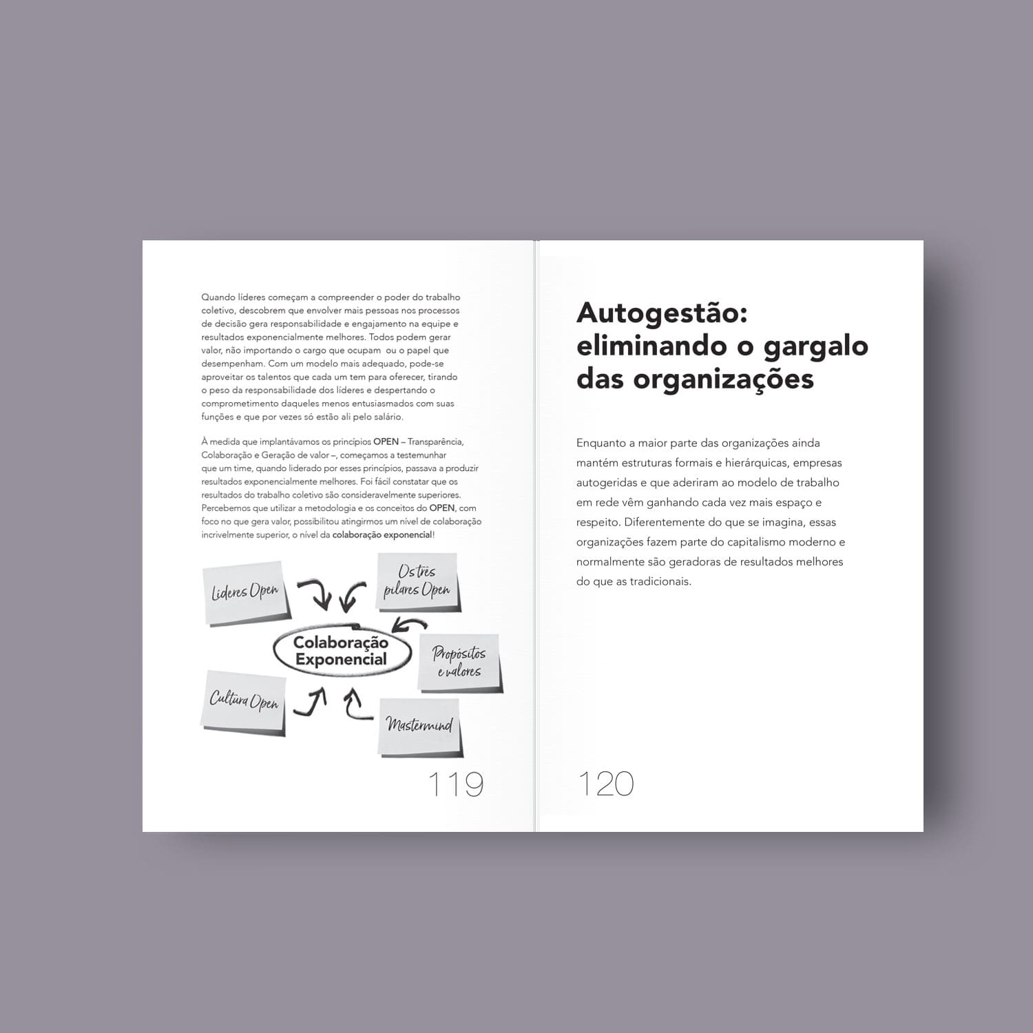 Open Leaders - Daniel Guedes, Giovana Bratti, Mauro Peres, Pedro Mello Ed. Voo