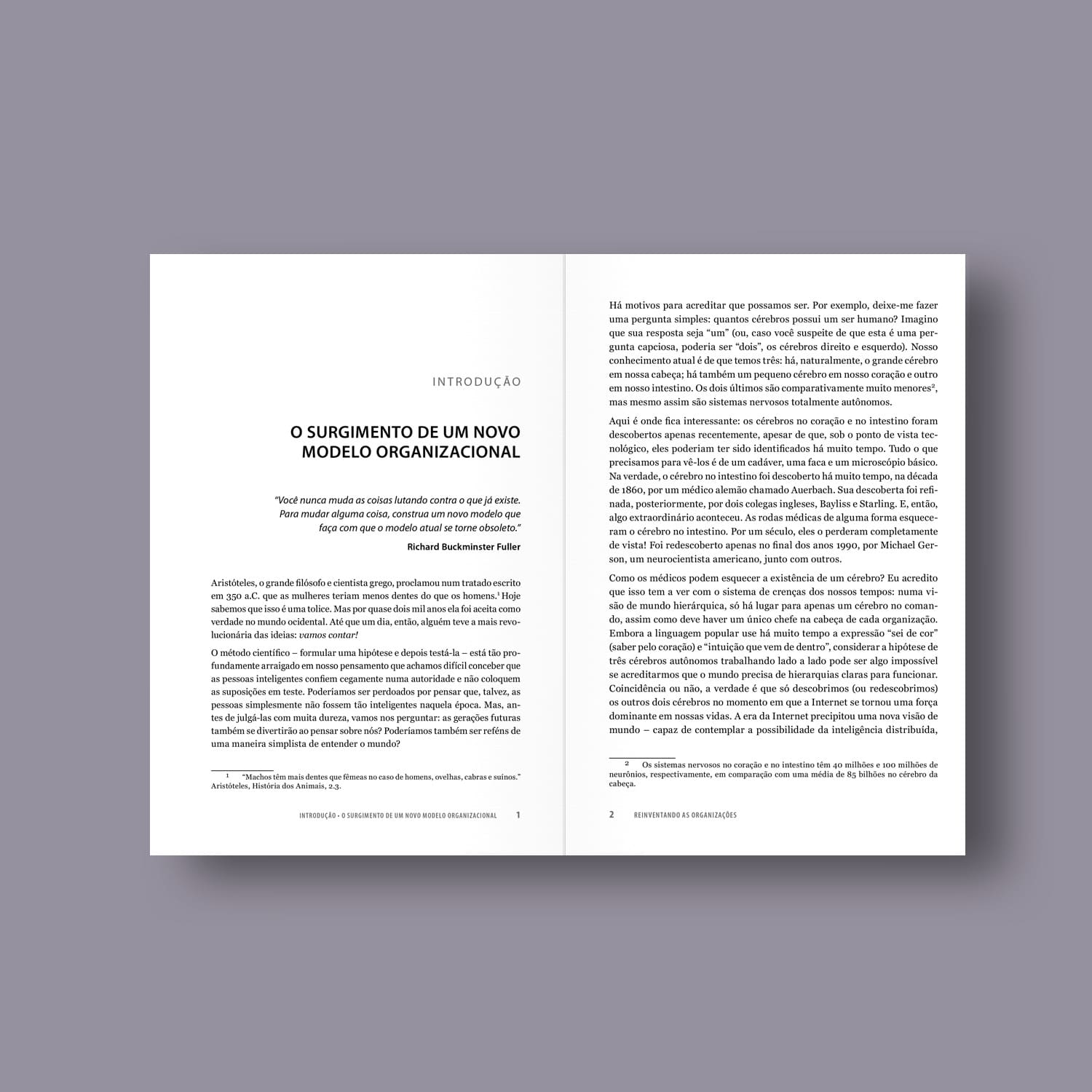 Reinventando as Organizações - Um guia para criar organizações inspiradas no próximo estágio da consciência humana