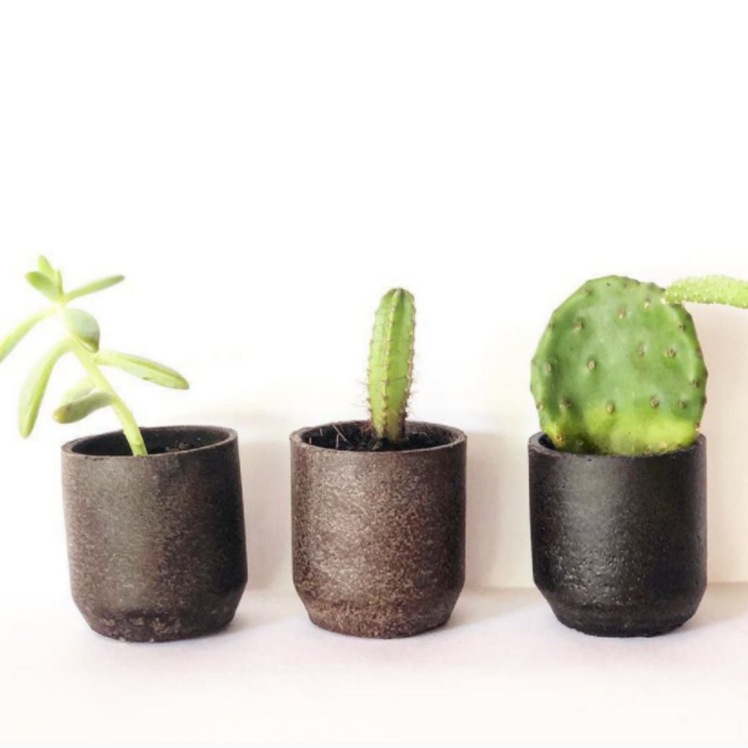 Vaso Expresso - Recoffee