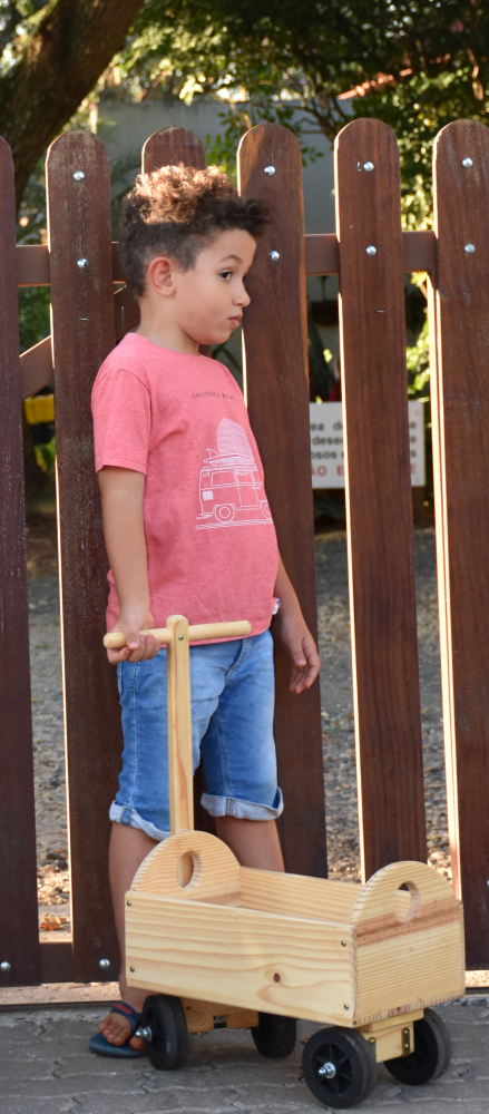 Carriola M - Olly Toys