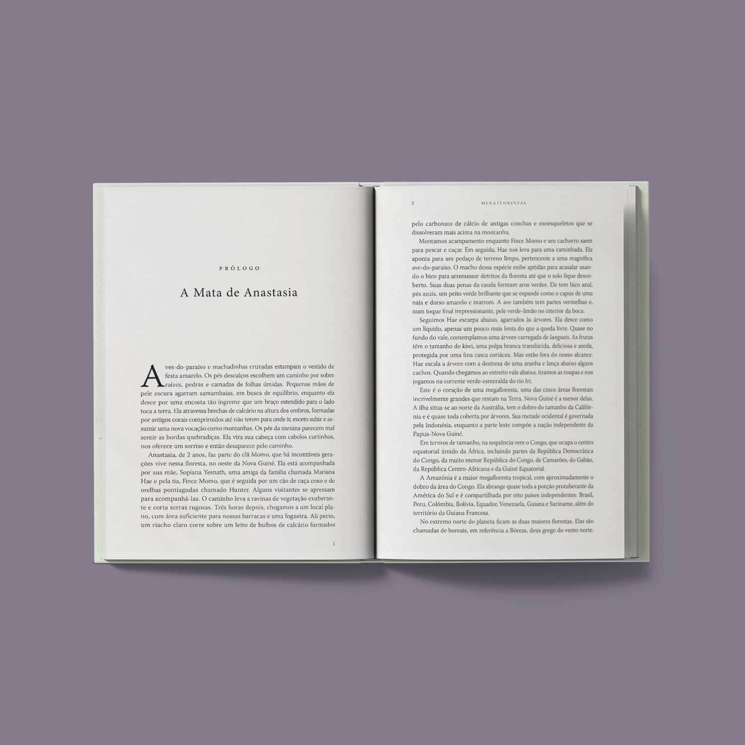 Megaflorestas – Preservar o que temos para salvar o planeta - John W. Reid, Thomas E. Lovejoy