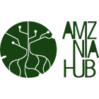 Amazônia Hub